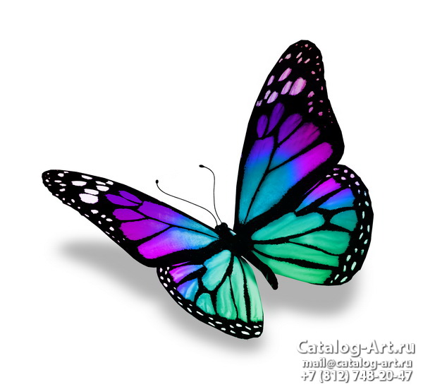  Butterflies 86